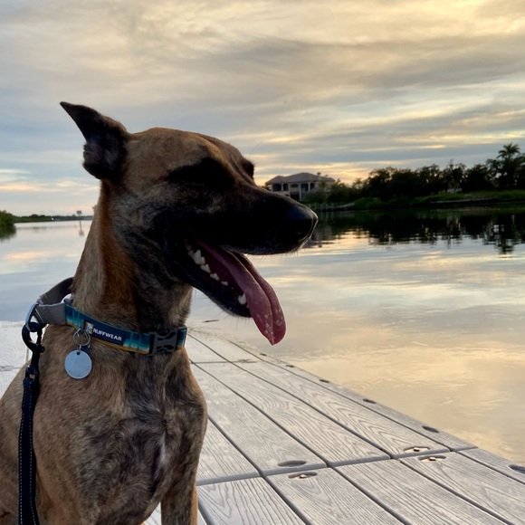 Meet your Posher, Kelsie - Picture 1 of 1